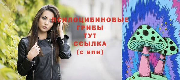 кокс Армянск