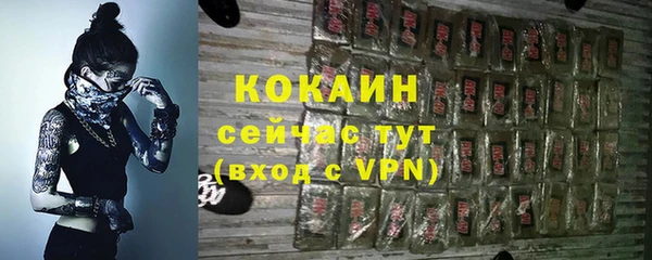 ГАЛЛЮЦИНОГЕННЫЕ ГРИБЫ Арсеньев