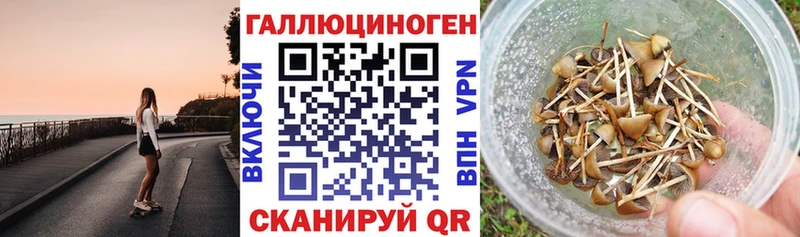 Галлюциногенные грибы мухоморы  Майский 
